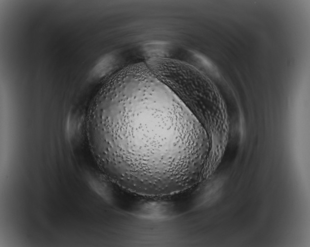 X0000085840364200703231448
