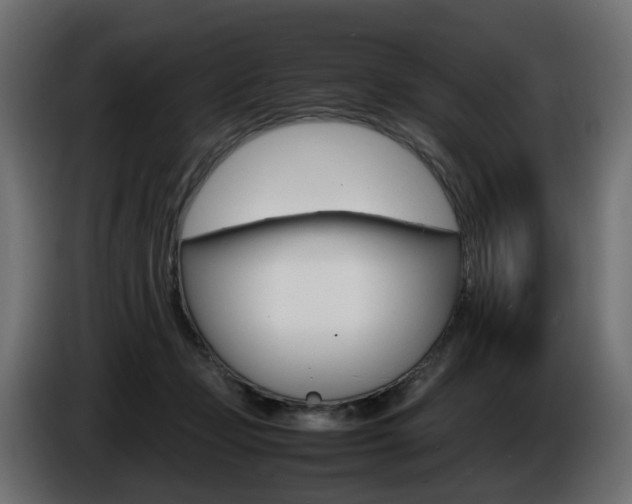 X0000085840365200703231448