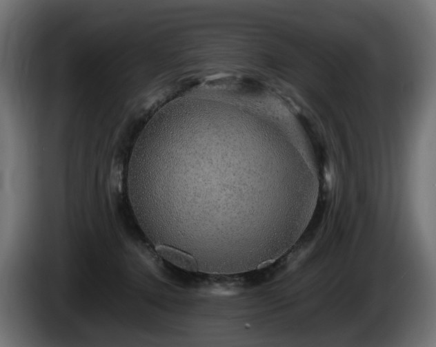 X0000085840368200703231448