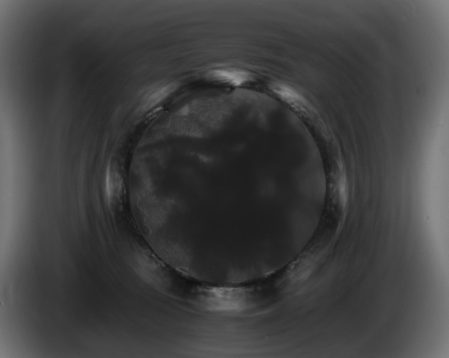 X0000085840371200703231448