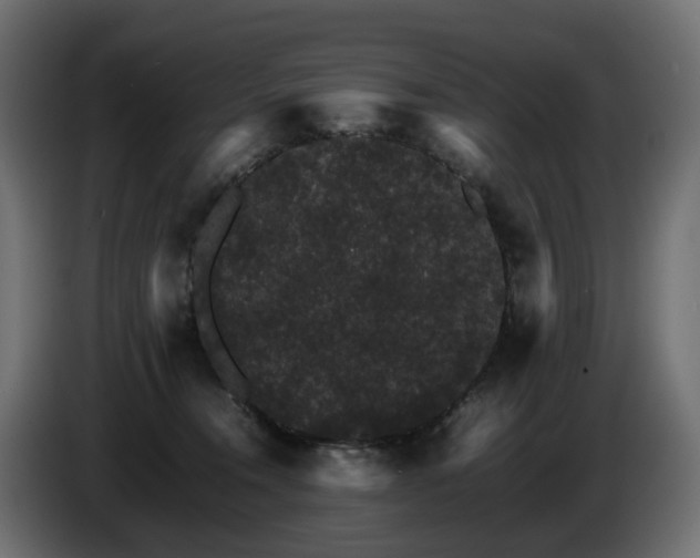 X0000085840372200703231448