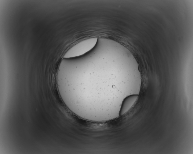 X0000085840375200703231448