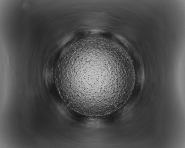 X0000085840376200703231448