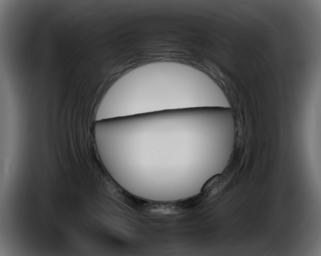 X0000085840377200703231448