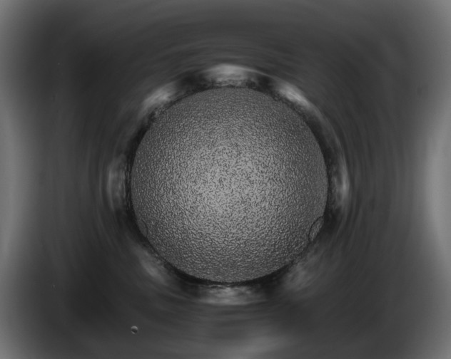 X0000085840379200703231448