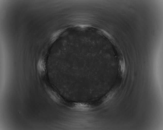 X0000085840380200703231448