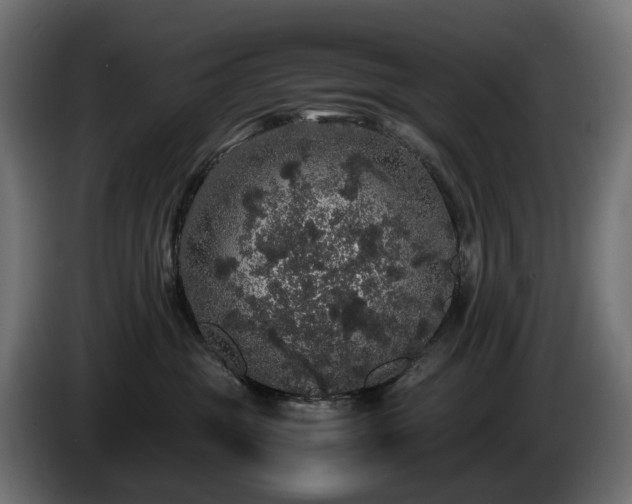 X0000085840381200703231448