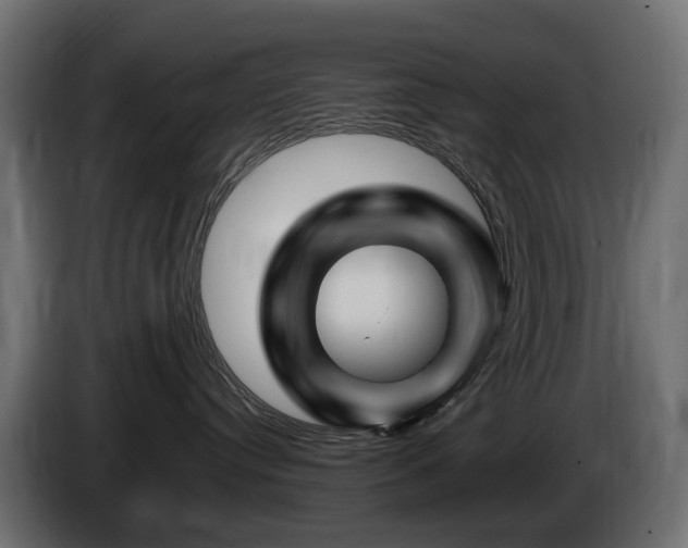 X0000085840384200703231448
