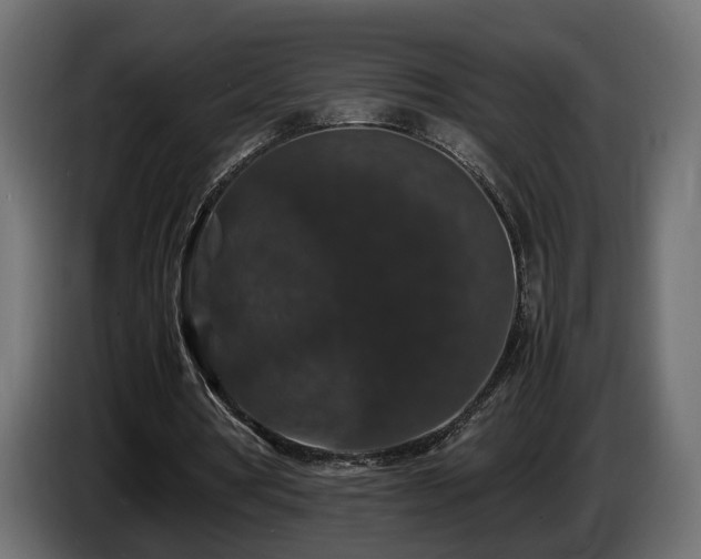 X0000085840386200703231447