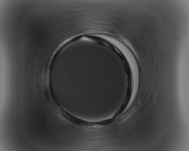 X0000085840387200703231447