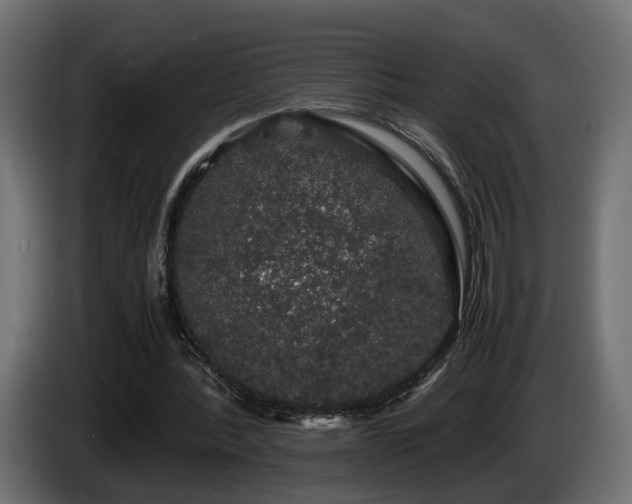 X0000085840388200703231447