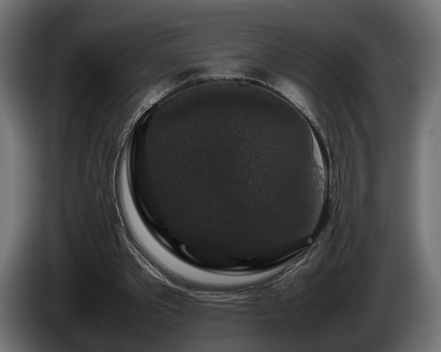 X0000085840389200703231447