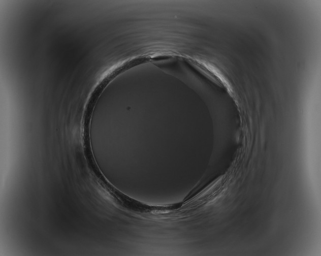X0000085840391200703231447