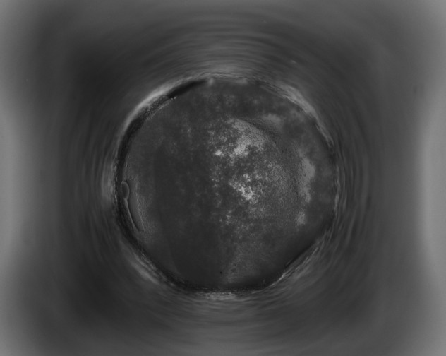 X0000085840392200703231447