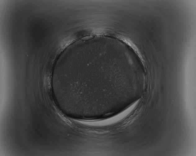 X0000085840393200703231447