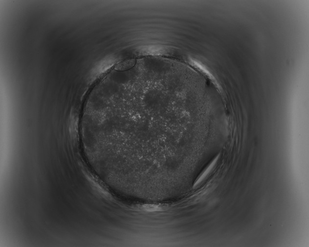 X0000085840394200703231447