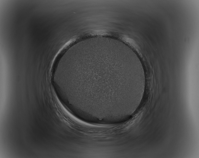 X0000085840395200703231447