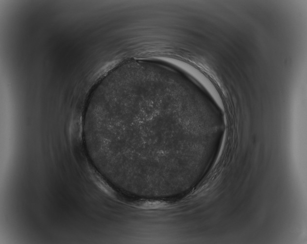 X0000085840397200703231447