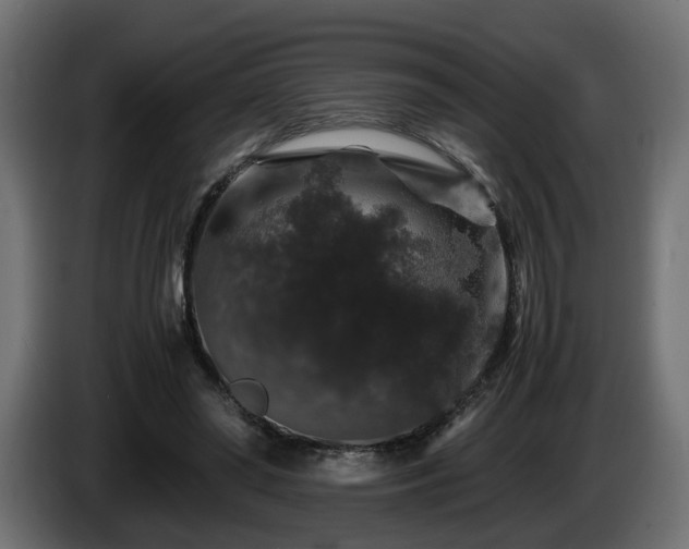 X0000085840398200703231447