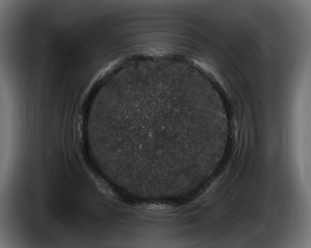 X0000085840400200703231447