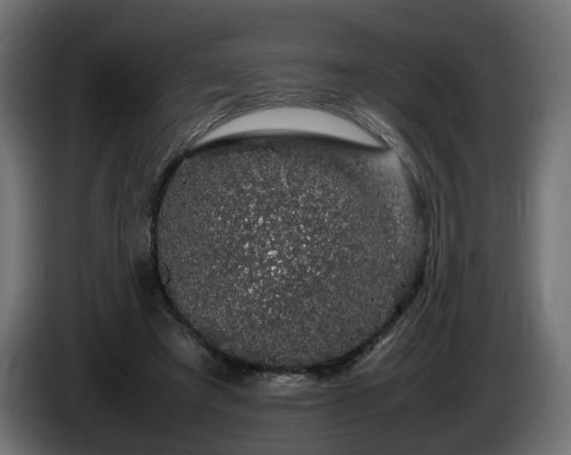 X0000085840401200703231447