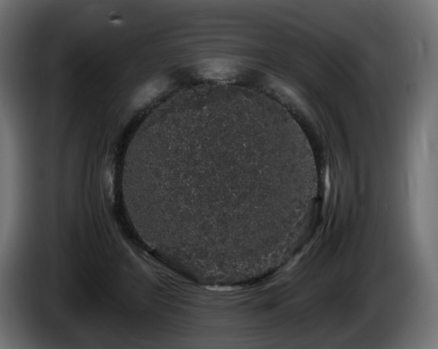 X0000085840404200703231447
