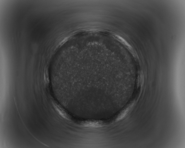 X0000085840405200703231447