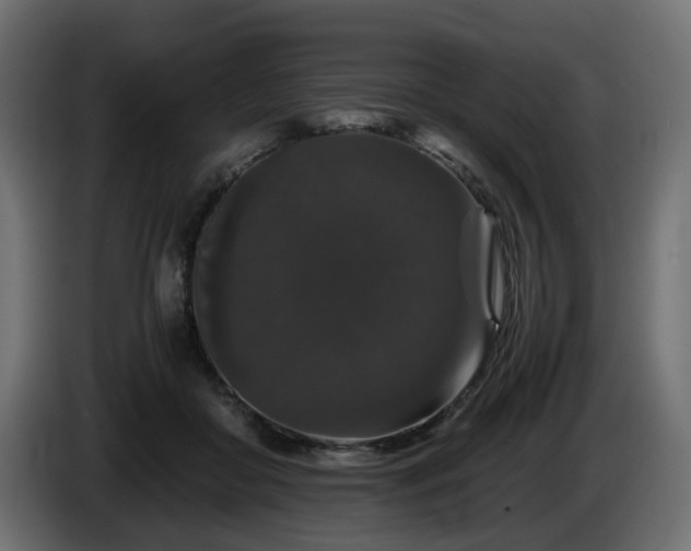 X0000085840410200703231447