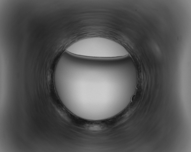 X0000085840412200703231447