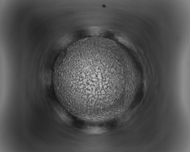 X0000085840413200703231447