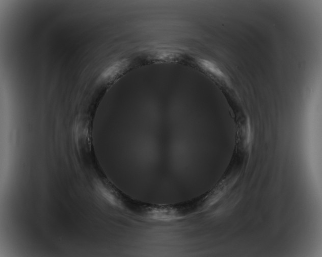 X0000085840415200703231447