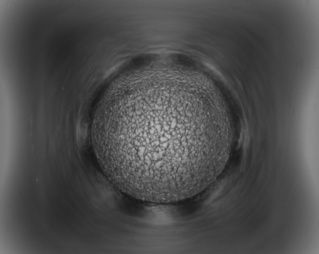 X0000085840417200703231447