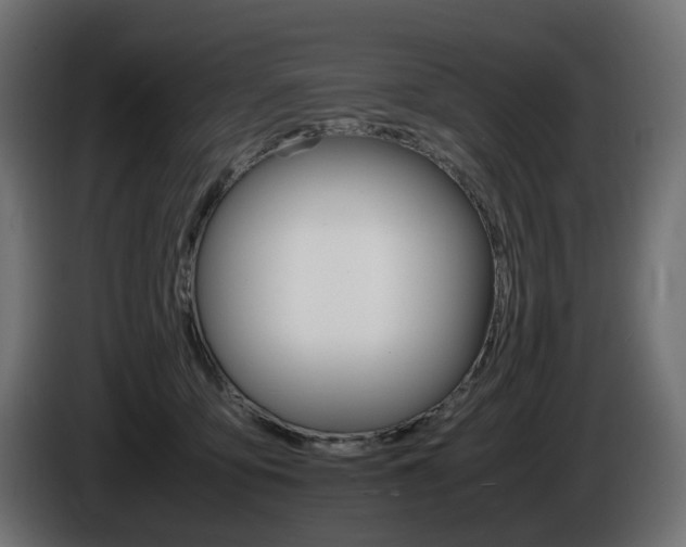 X0000085840419200703231447