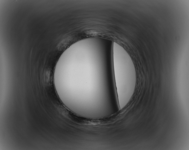 X0000085840420200703231447