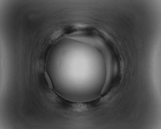 X0000085840421200703231447