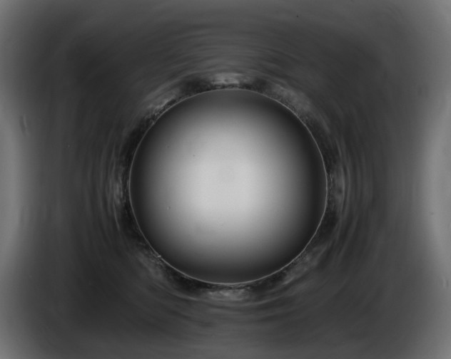 X0000085840422200703231447