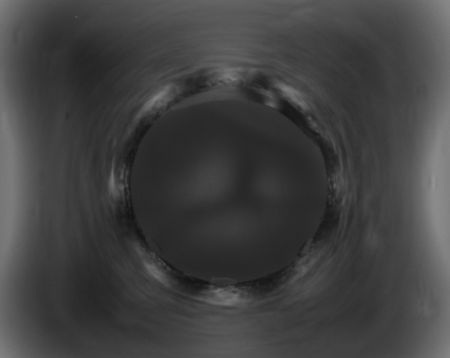 X0000085840423200703231447
