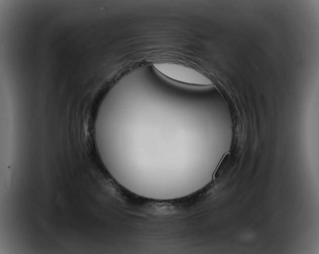 X0000085840424200703231447