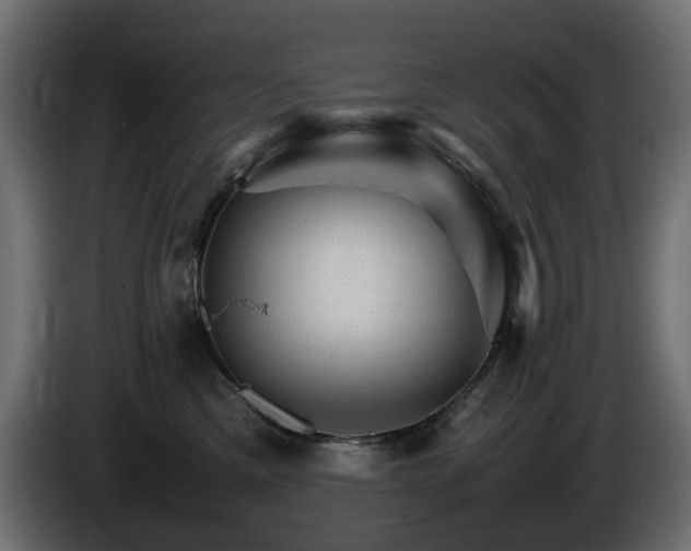 X0000085840425200703231447