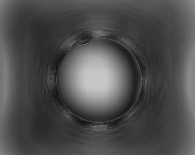X0000085840426200703231447