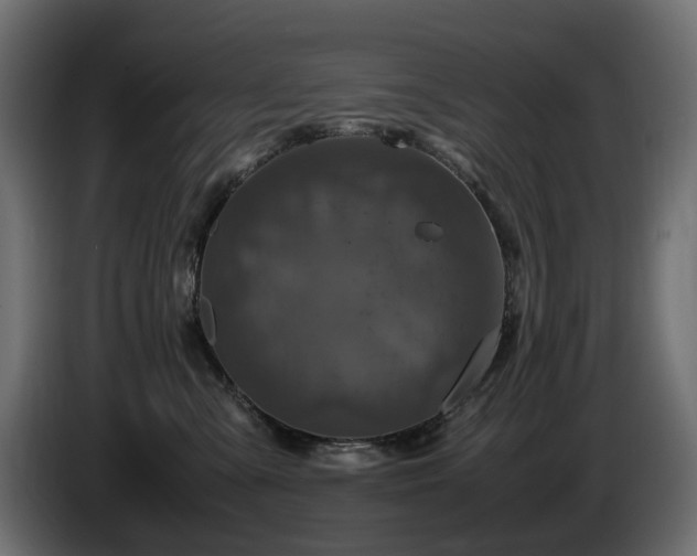 X0000085840427200703231447