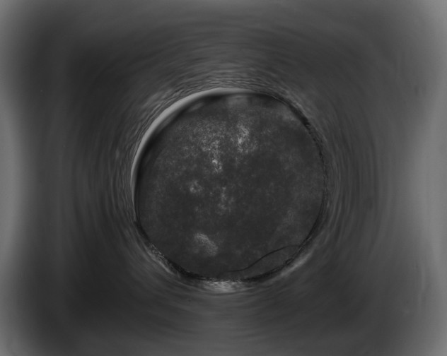 X0000085840432200703231446