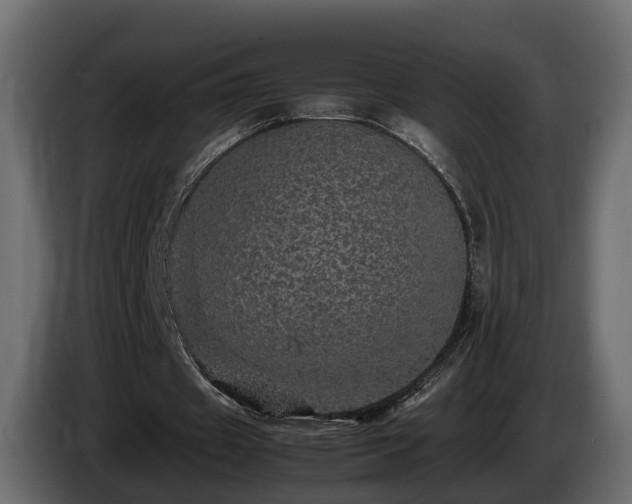 X0000085840433200703231446