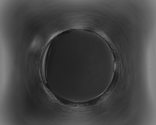 X0000085840434200703231446