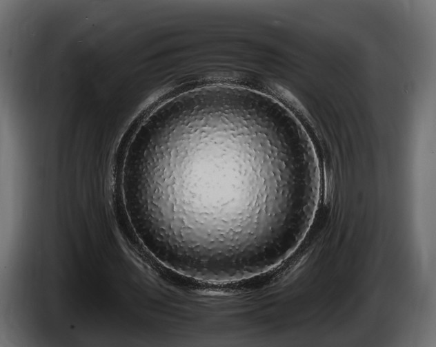 X0000085840435200703231446