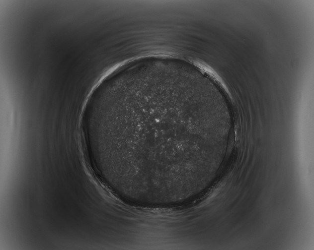 X0000085840436200703231446