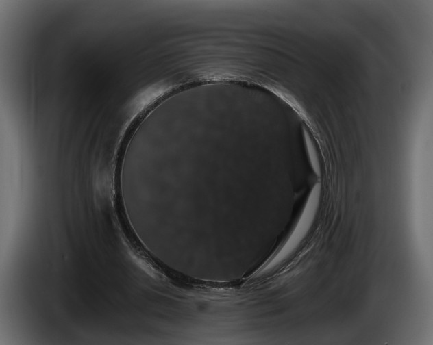 X0000085840438200703231446