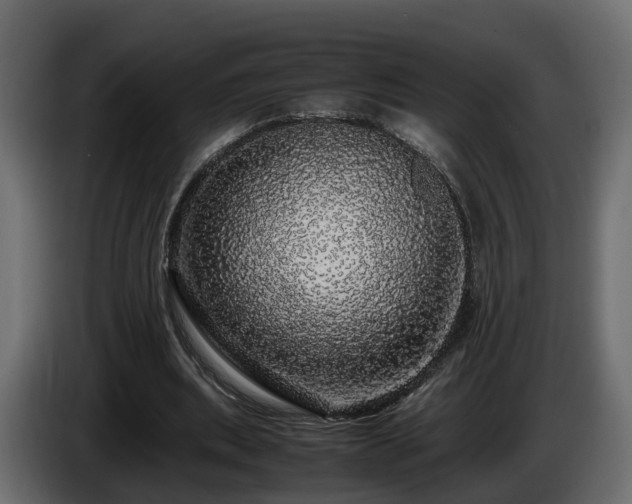 X0000085840439200703231446