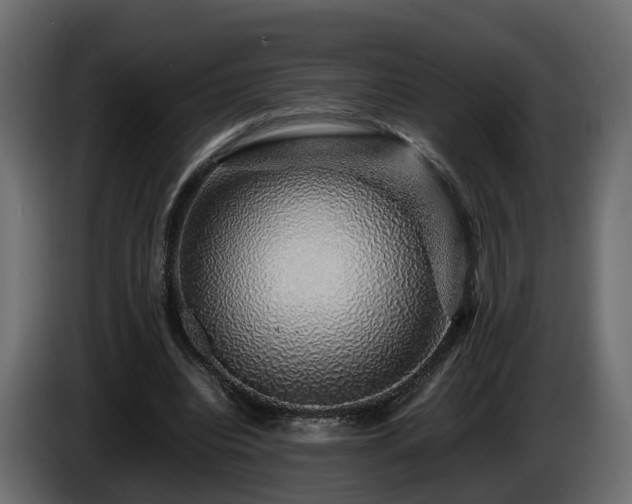 X0000085840440200703231446