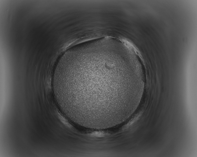 X0000085840441200703231446